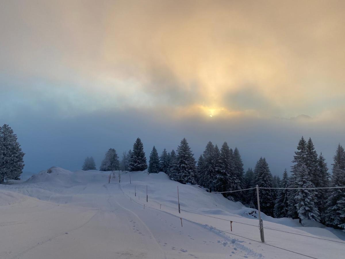 Rigi-Burggeist Alpine Guesthouse แกร์เซา ภายนอก รูปภาพ