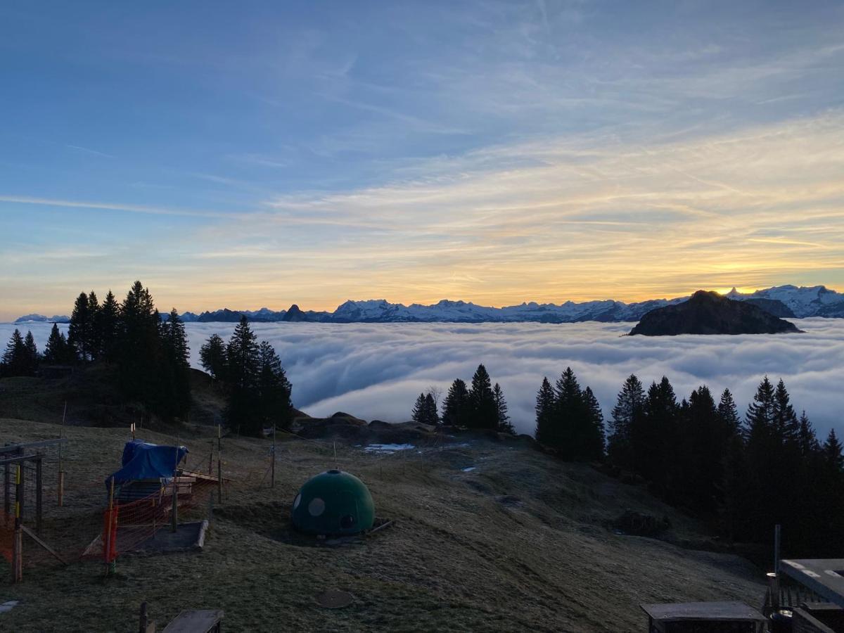 Rigi-Burggeist Alpine Guesthouse แกร์เซา ภายนอก รูปภาพ