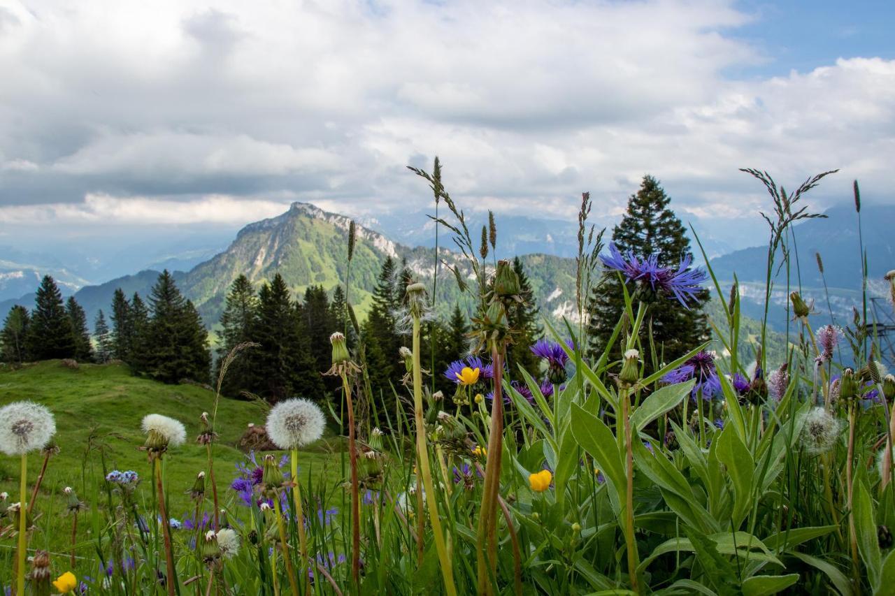 Rigi-Burggeist Alpine Guesthouse แกร์เซา ภายนอก รูปภาพ