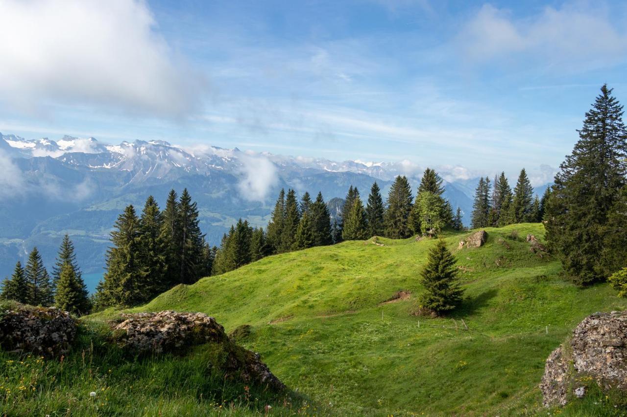 Rigi-Burggeist Alpine Guesthouse แกร์เซา ภายนอก รูปภาพ