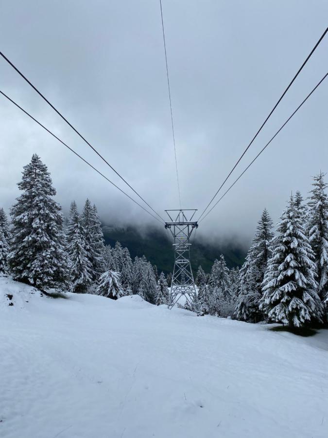 Rigi-Burggeist Alpine Guesthouse แกร์เซา ภายนอก รูปภาพ