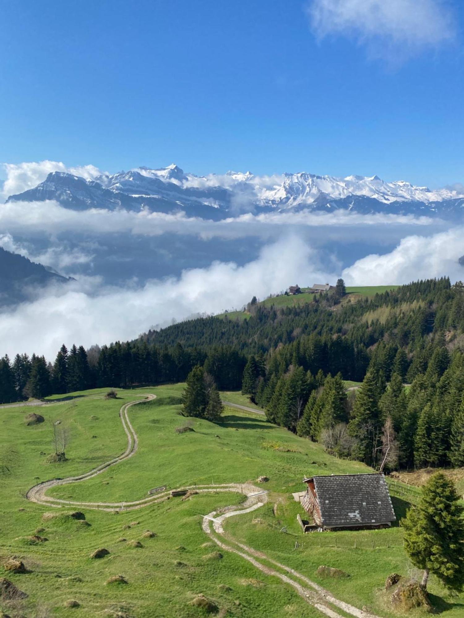 Rigi-Burggeist Alpine Guesthouse แกร์เซา ภายนอก รูปภาพ